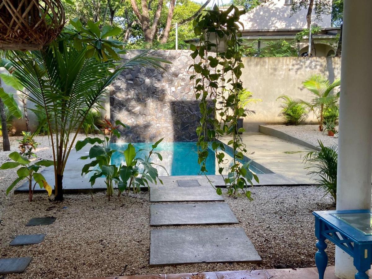 Casa Alice Marbella Lodge Екстериор снимка