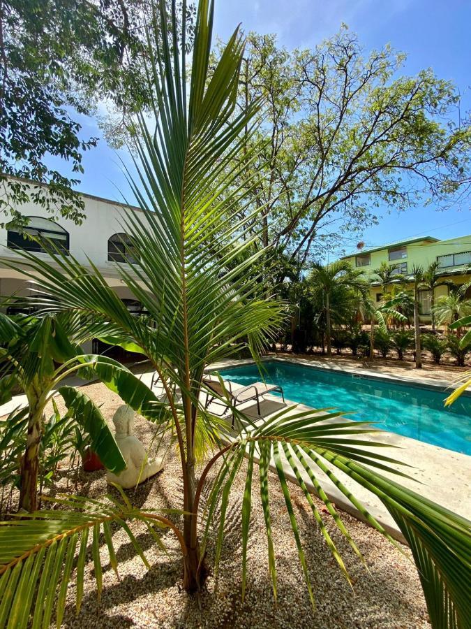 Casa Alice Marbella Lodge Екстериор снимка